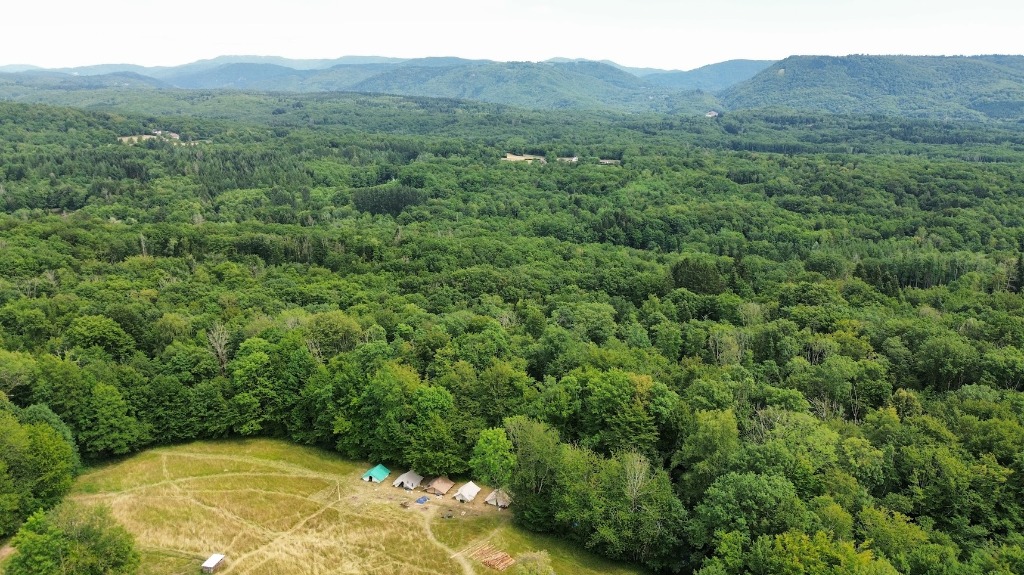 Vue d'ensemble de la Forêt Jardin