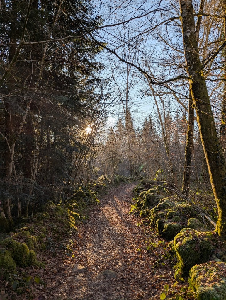 Le sentier de la Forêt Jardin